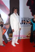 Amitabh Bachchan at No One Killed Jessica premiere in Fame on th Jan 2011 (2).JPG
